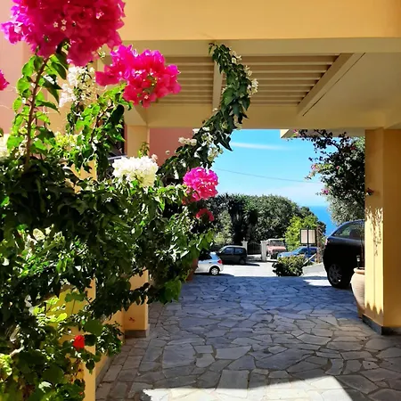 Kontis 1 Apartament *