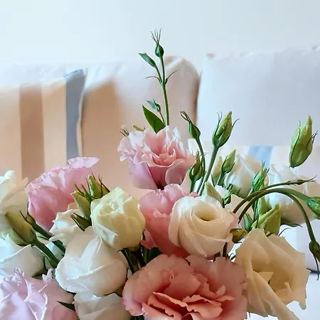 Kontis 1 Apartament *