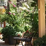 Kontis 1 * Пелекас