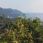 Apartament Kontis 1 *