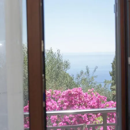 Kontis 1 Apartamento