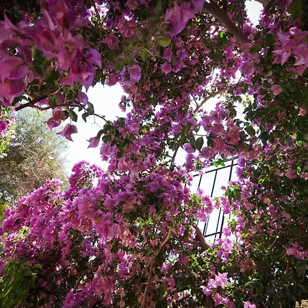 Apartamento Kontis 1 Pelekas