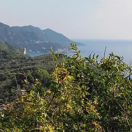 Apartamento Kontis 1 *