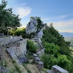 Kontis 1