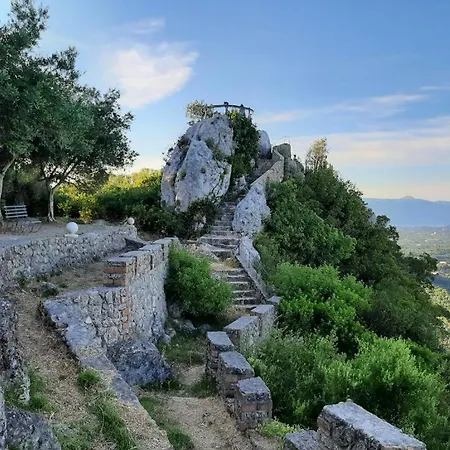 Kontis 1
